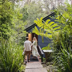 Kondalilla Eco Resort Montville